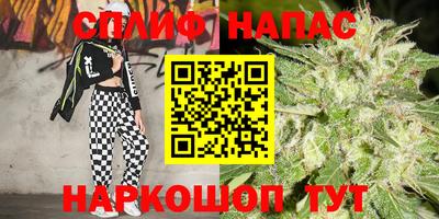 шишки Боровичи