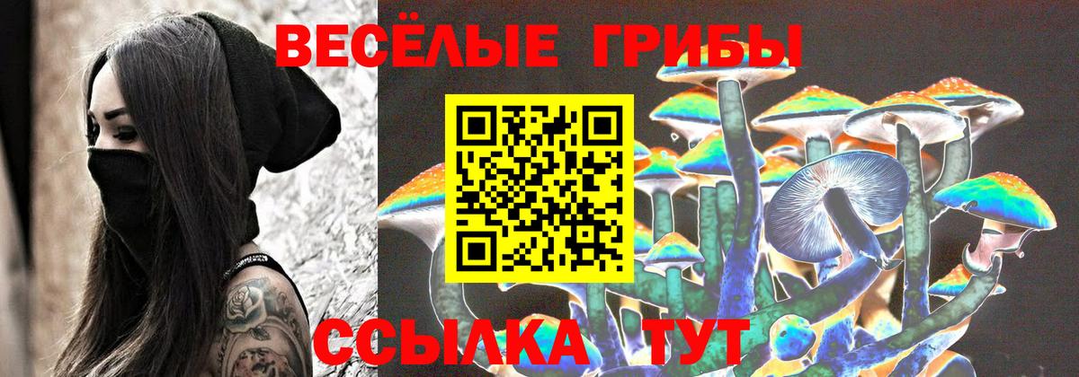 Лесозаводск  Галлюциногенные грибы MAGIC MUSHROOMS  Вход с VPN 